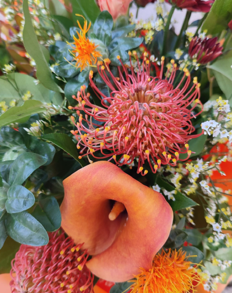 Jean's Flowers